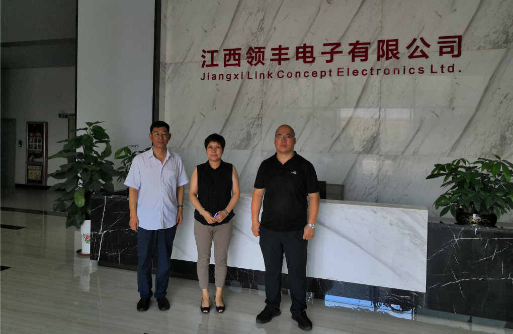 江西領(lǐng)豐電子有限公司